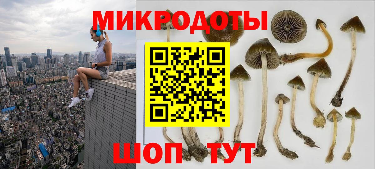 Галлюциногенные грибы мухоморы  Вход с VPN  Городец  Галлюциногенные грибы Psilocybine cubensis 